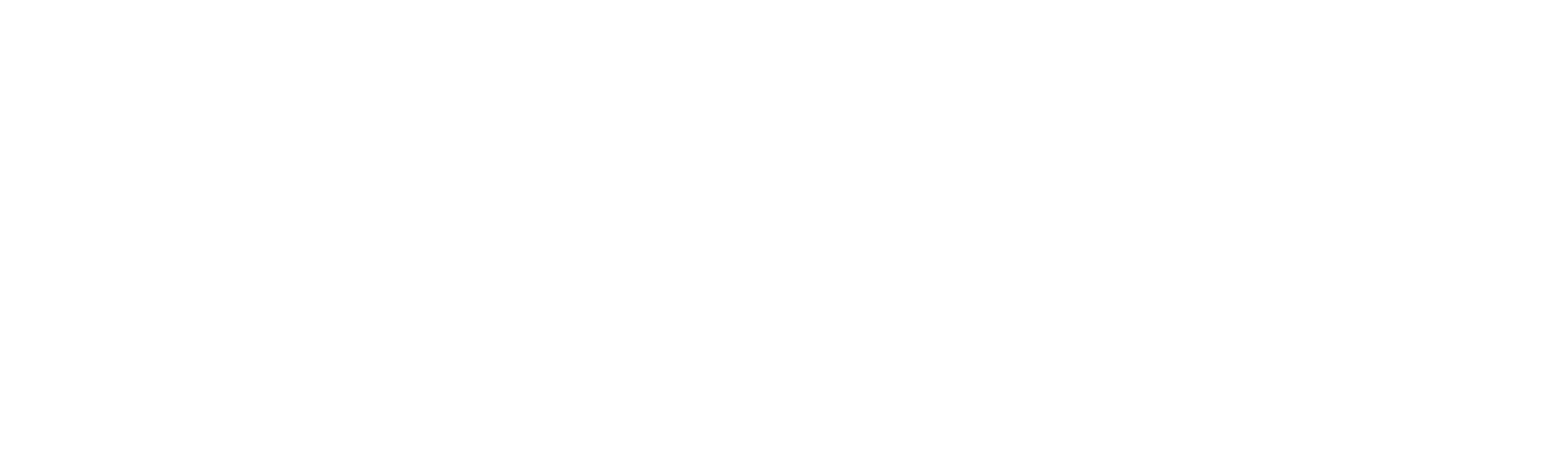 Kardan Logo